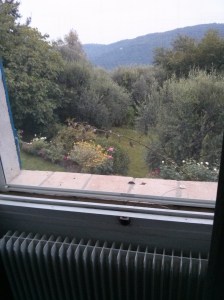 View from my bedroom window